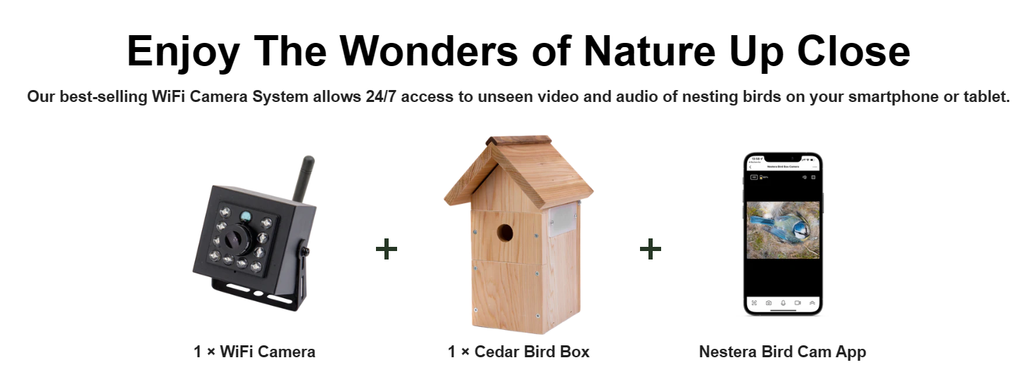 green backyard wireless bird box camera